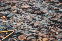 river-8562001_1920